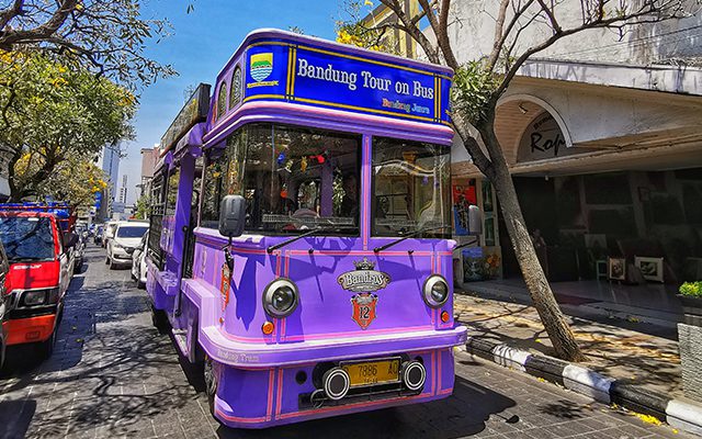 purple bandros